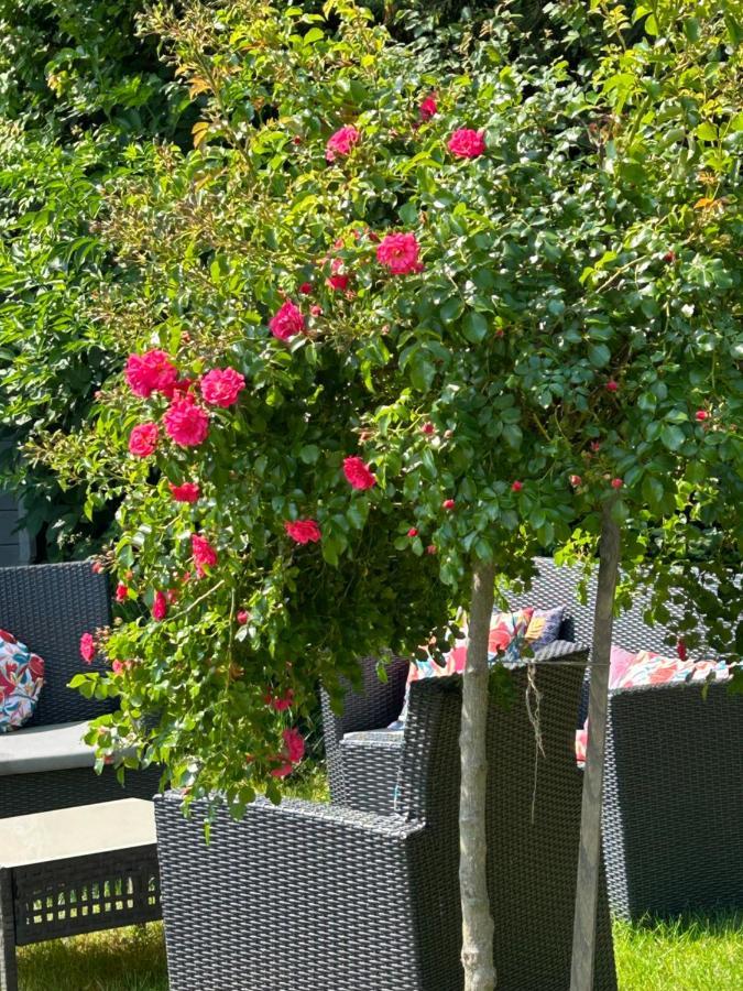 La Glycine B&B Sainte-Colombe  Eksteriør billede